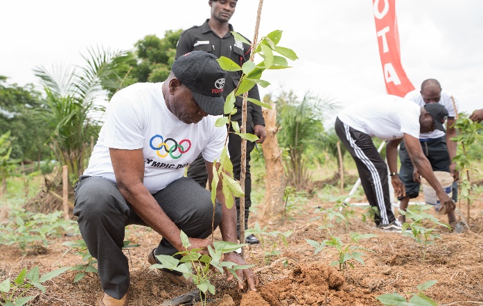 tree planting